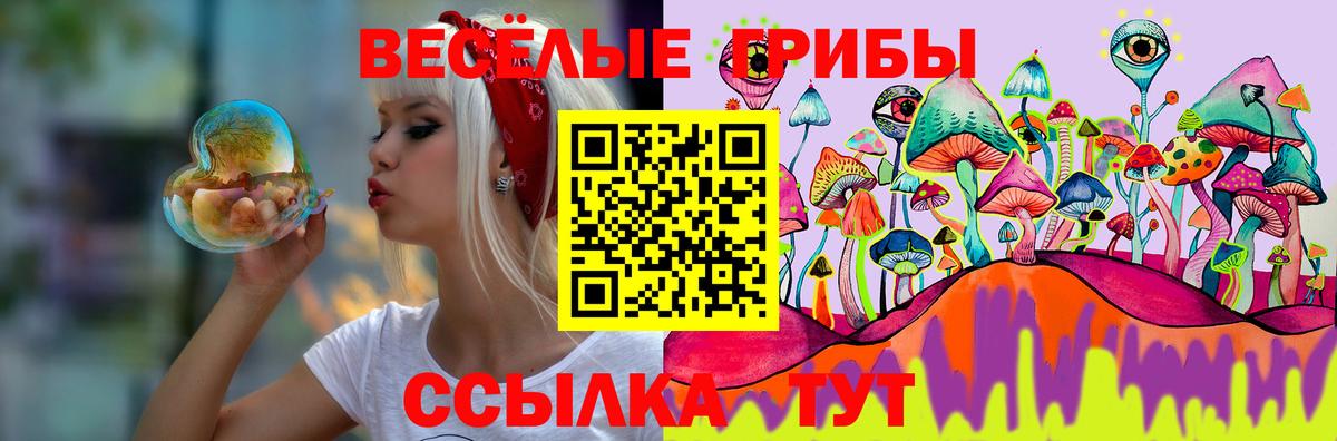 Псилоцибиновые грибы Cubensis  Вход с VPN  Галлюциногенные грибы ЛСД  Тихвин 